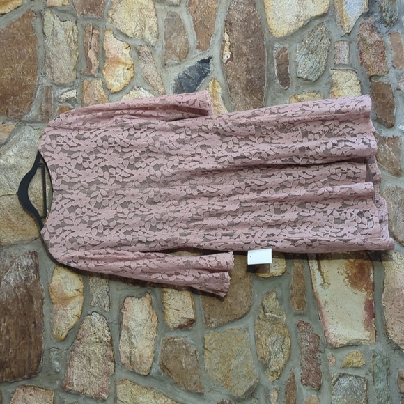 Rabbit Rabbit Rabbit Pink Lace Dress - Picture 7 of 11